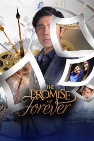 The Promise of Forever